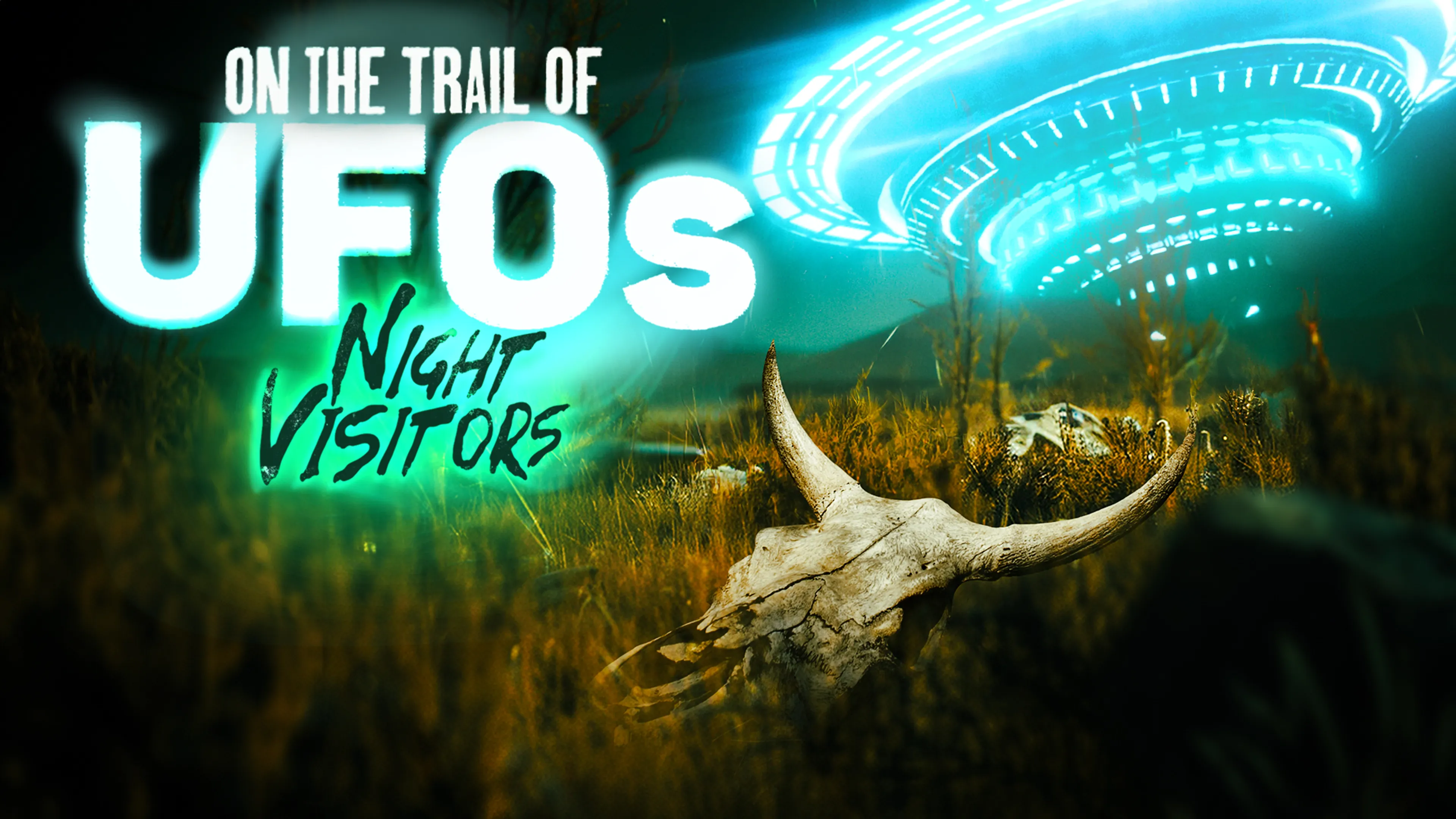On the Trail of UFO's: Night Visitors poster